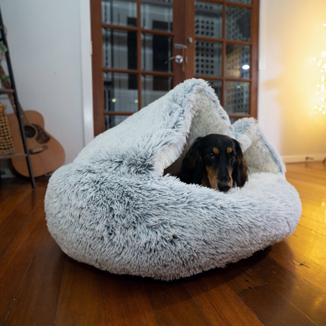 Ozanix™ Winter Pet Plush