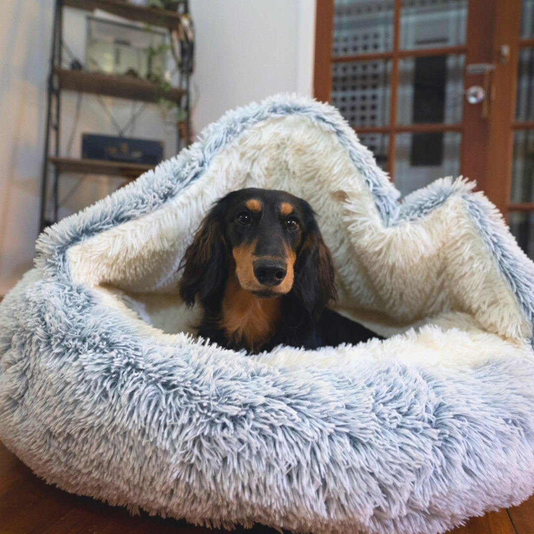 Ozanix™ Winter Pet Plush