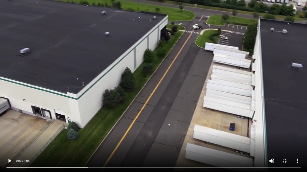 Sockvert 3D Knit Crocodile Socks